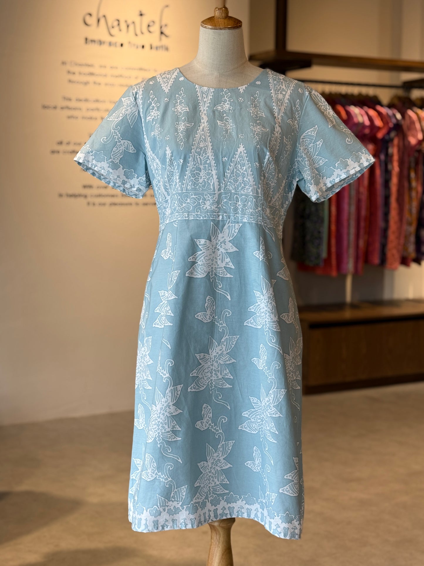 Alice Dress 24