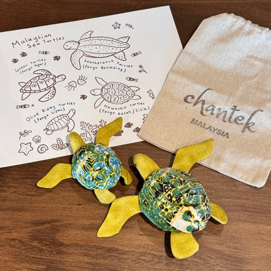 Sea Turtle Educational Toy Set - 28