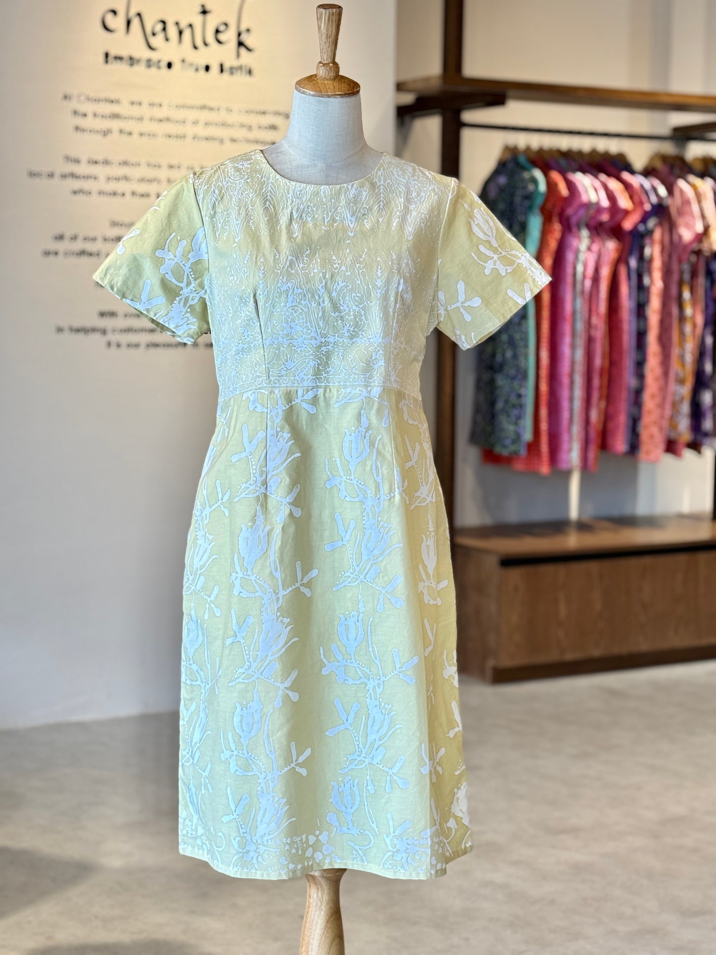 Alice Dress 21