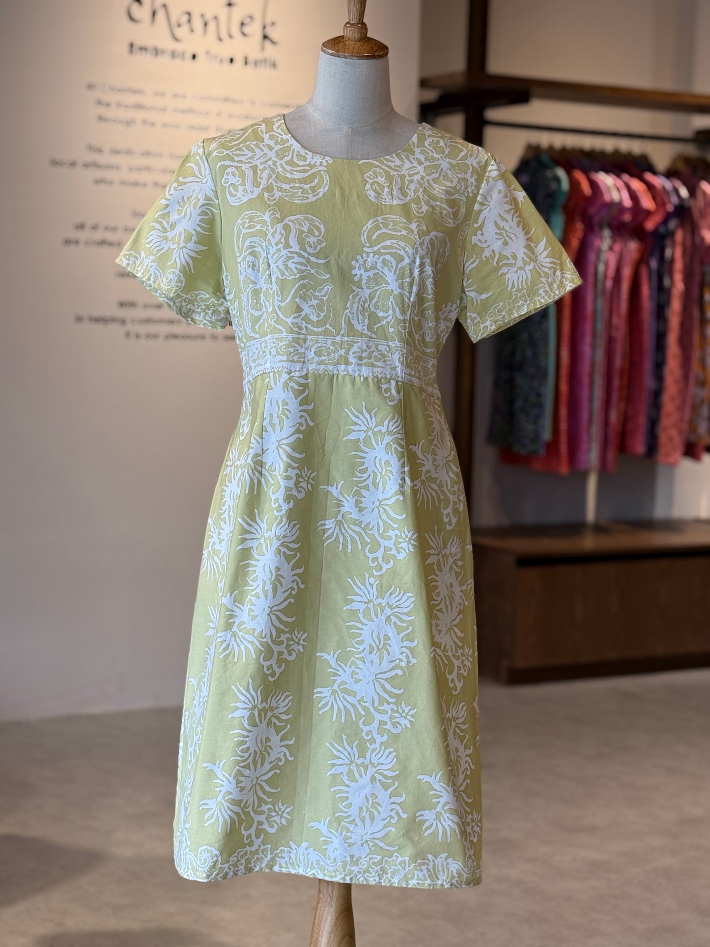 Alice Dress 26