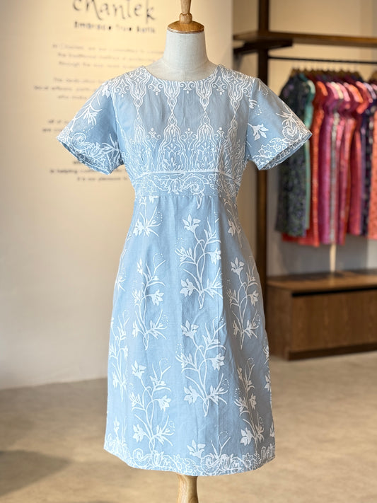 Alice Dress 23