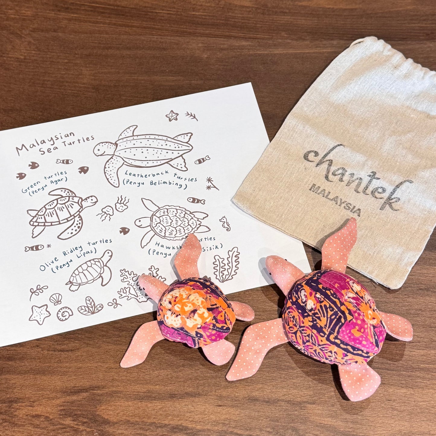 Sea Turtle Educational Toy Set - 26