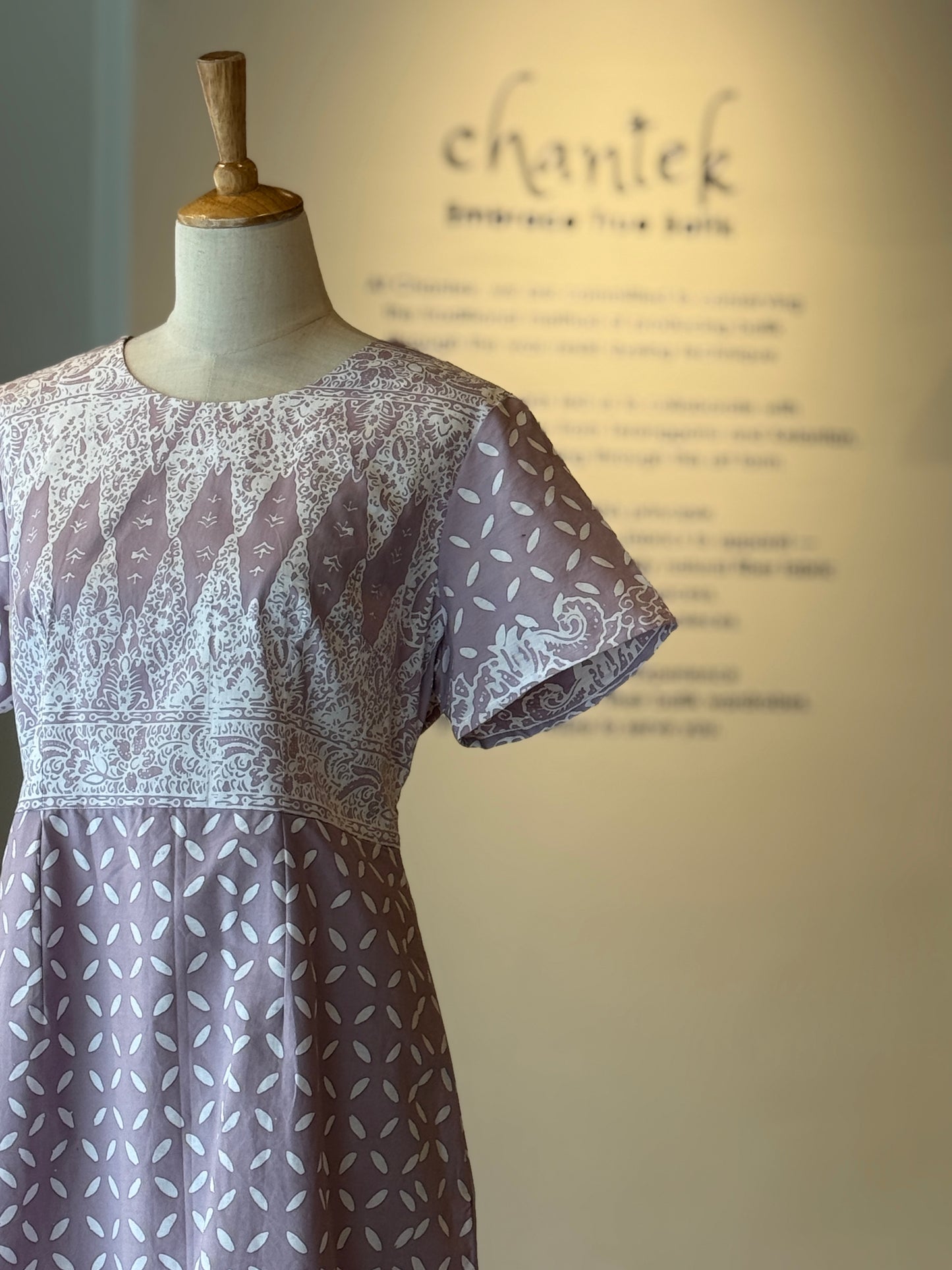 Alice Dress 13
