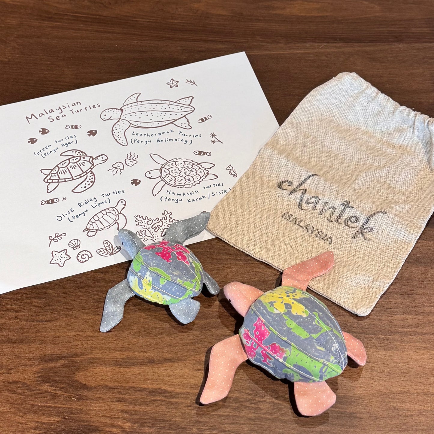 Sea Turtle Educational Toy Set - 36