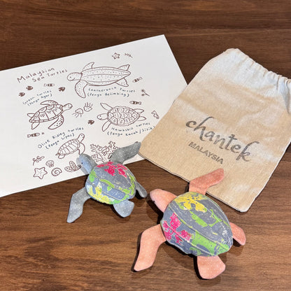 Sea Turtle Educational Toy Set - 36