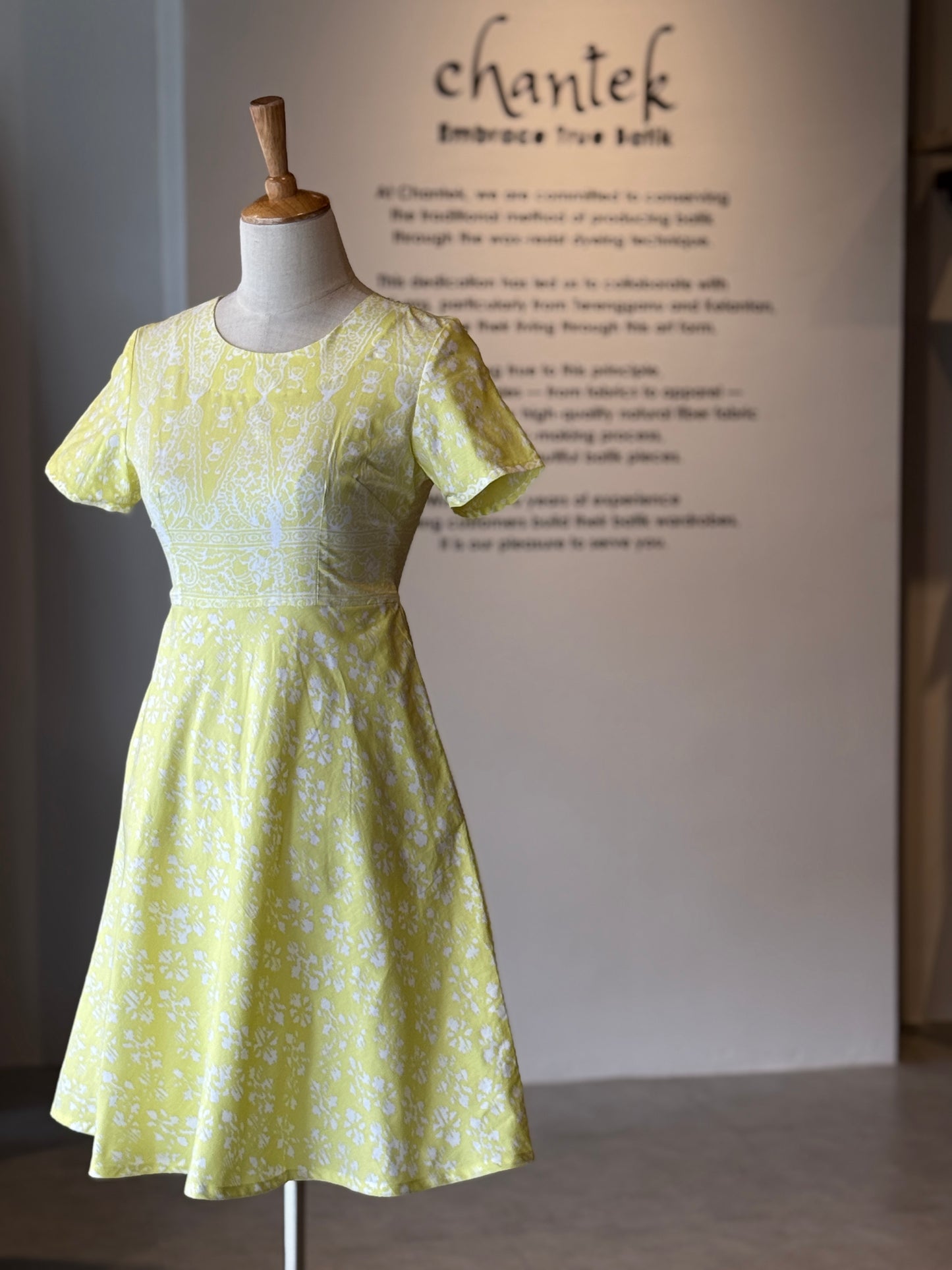 Alice Dress 04