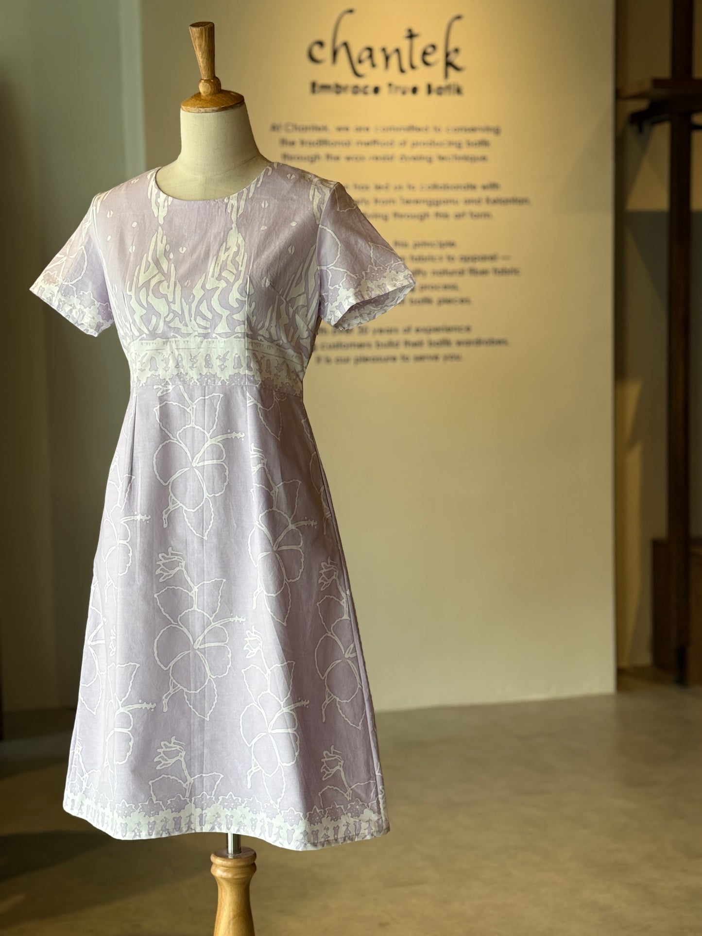 Alice Dress 11