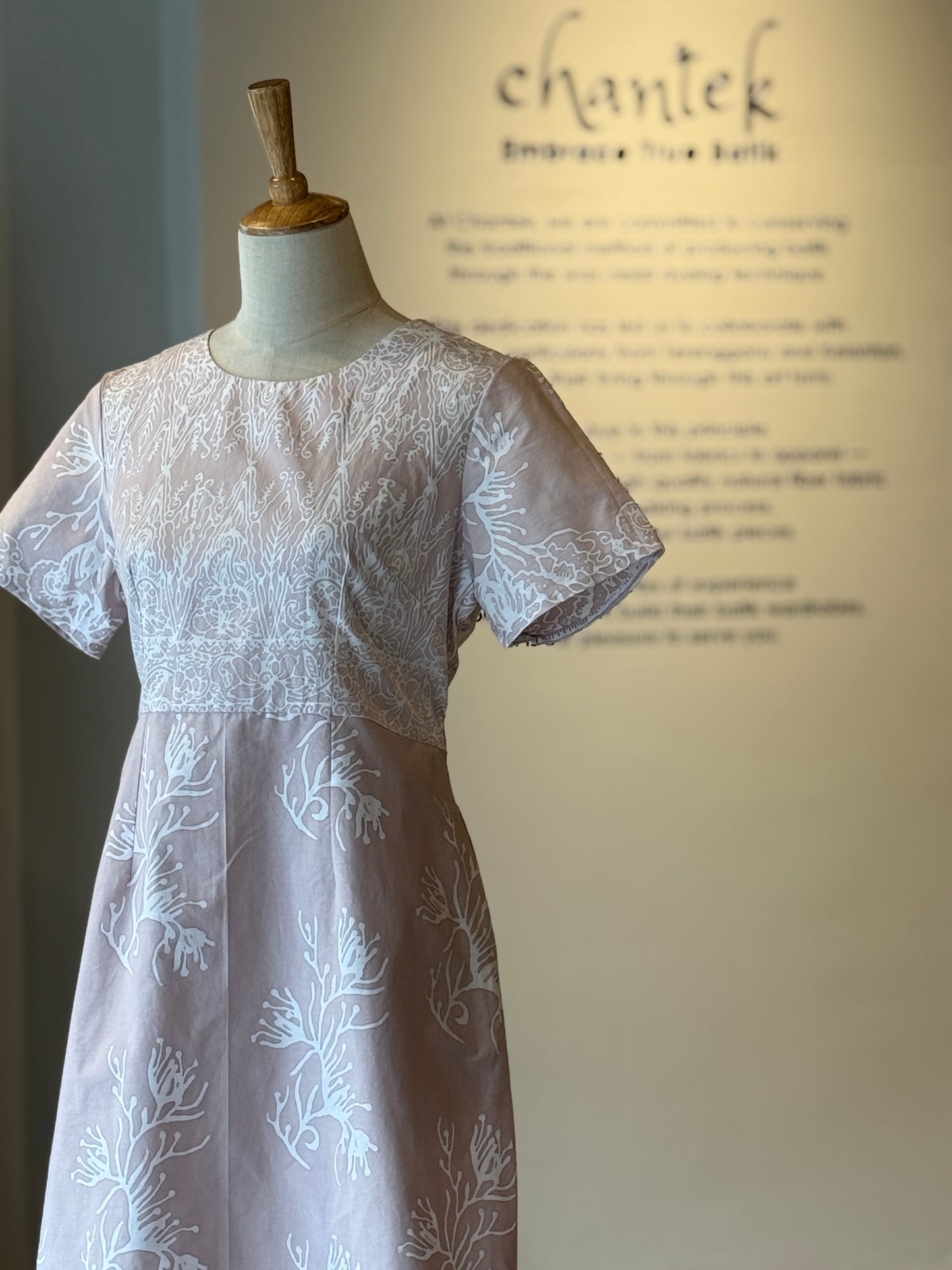 Alice Dress 17