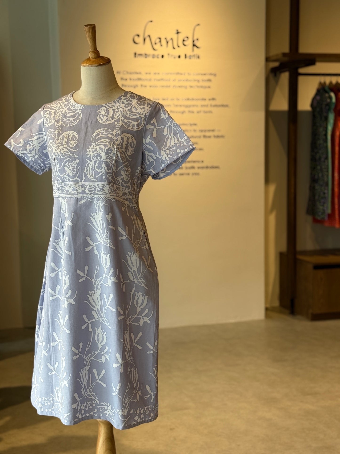 Alice Dress 15