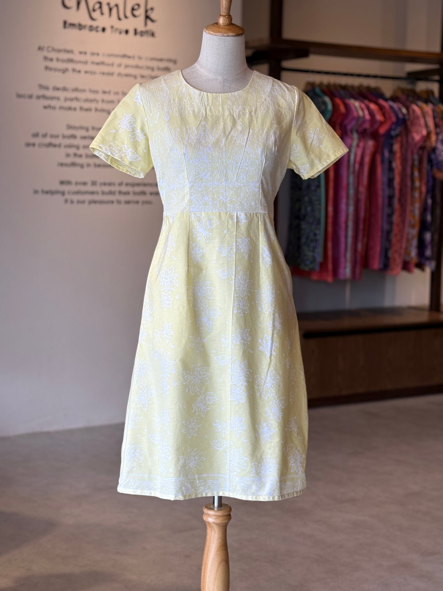 Alice Dress 09