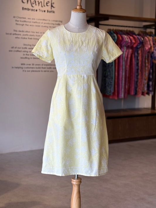 Alice Dress 09