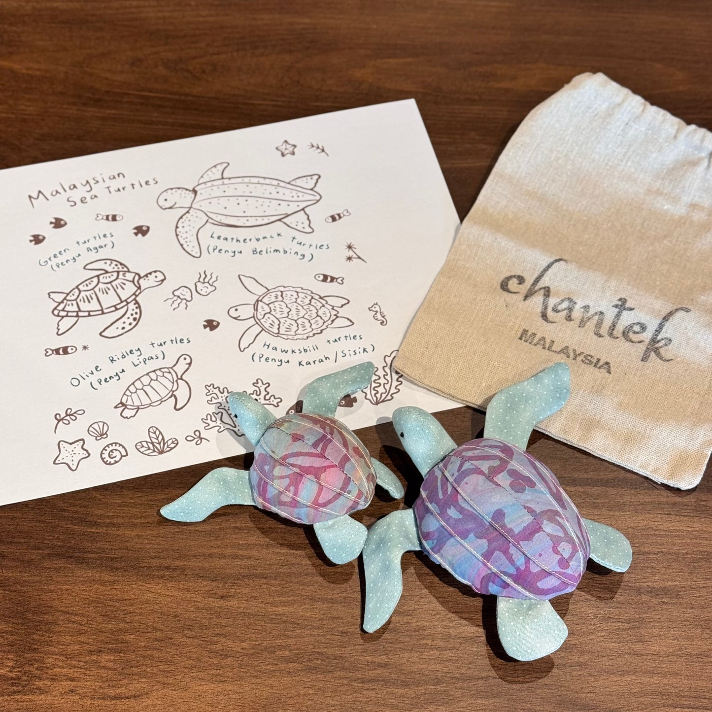 Sea Turtle Educational Toy Set - 33