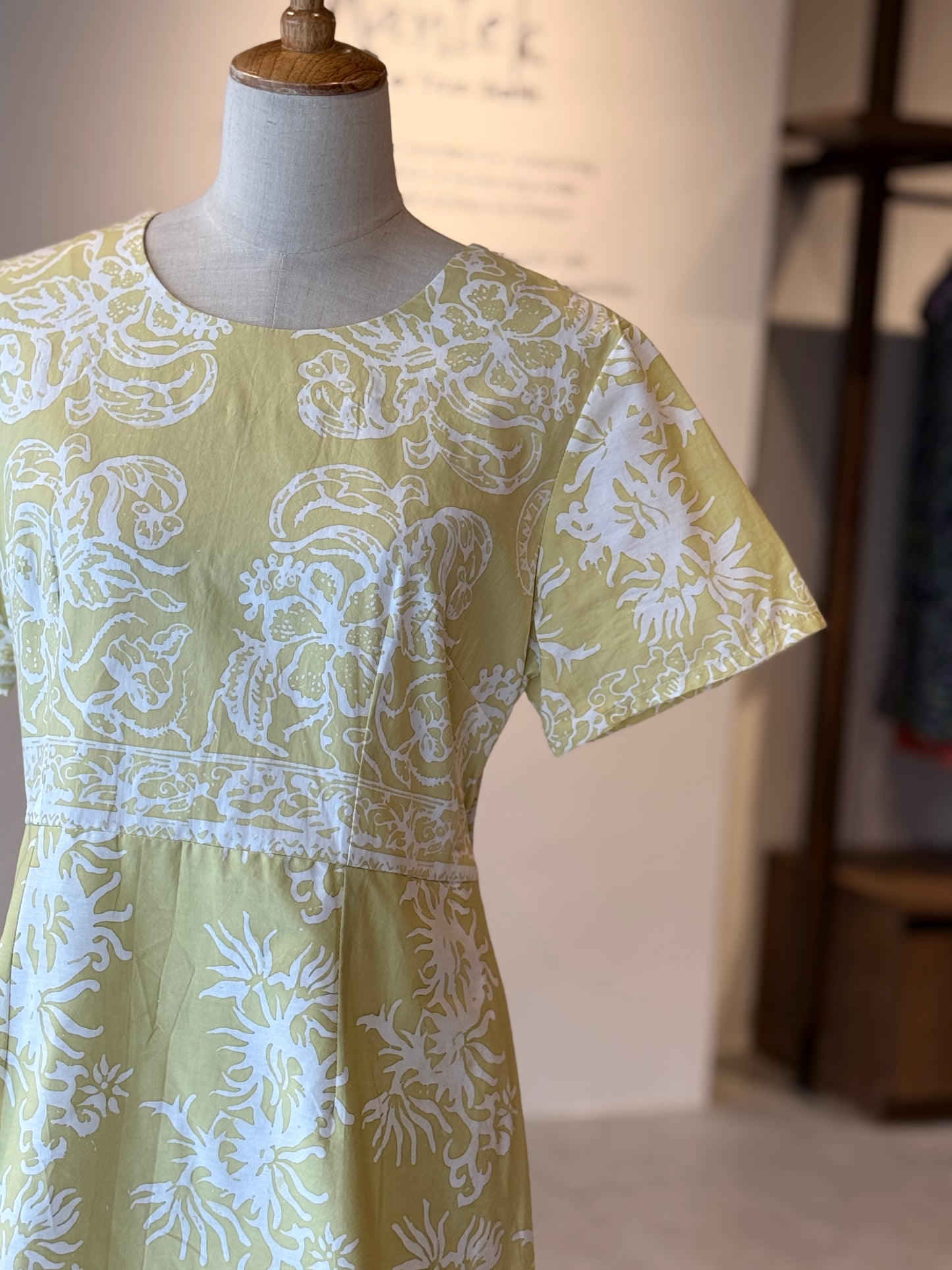 Alice Dress 26