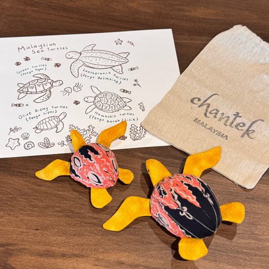 Sea Turtle Educational Toy Set - 32