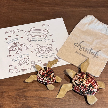 Sea Turtle Educational Toy Set - 31