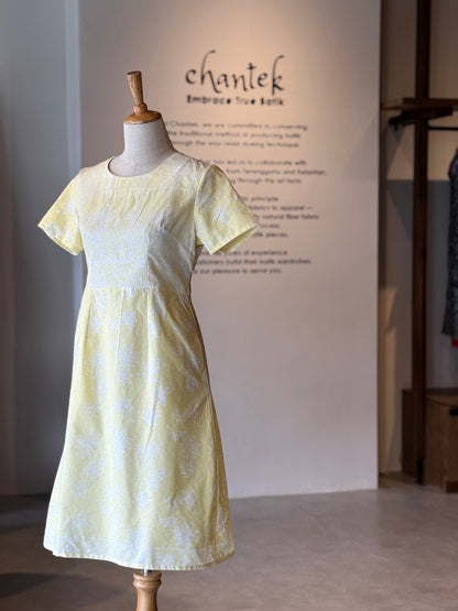 Alice Dress 09