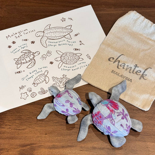 Sea Turtle Educational Toy Set - 35